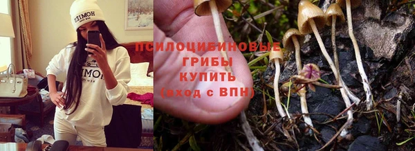 МДПВ Зеленокумск