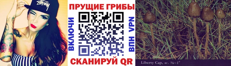 Псилоцибиновые грибы GOLDEN TEACHER  Купить  Бавлы 
